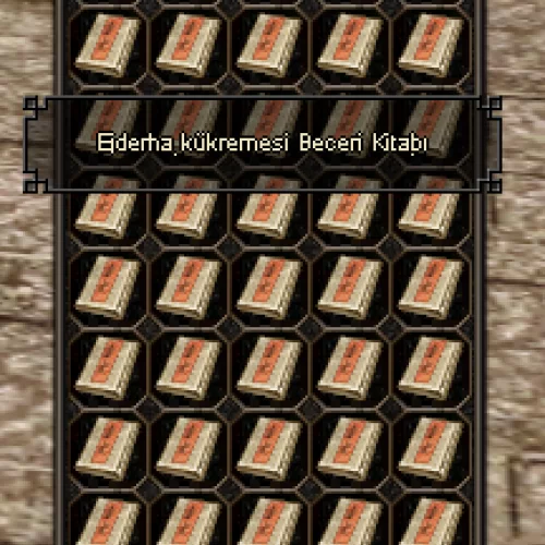  55X Ejderha Kükremesi Beceri Kitabı Kükreme BK 55 ADET ANINDA TESLİM